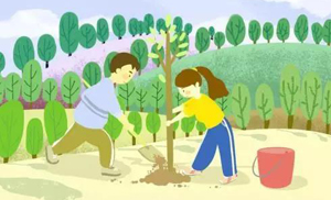 植树节 | 安氏亚森板材“源于自然·回馈自然”